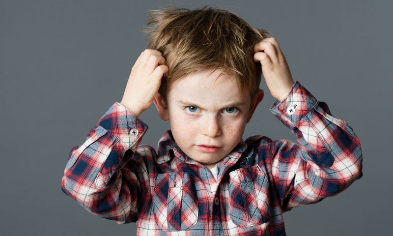 blog/best-head-lice-treatment-for-kids