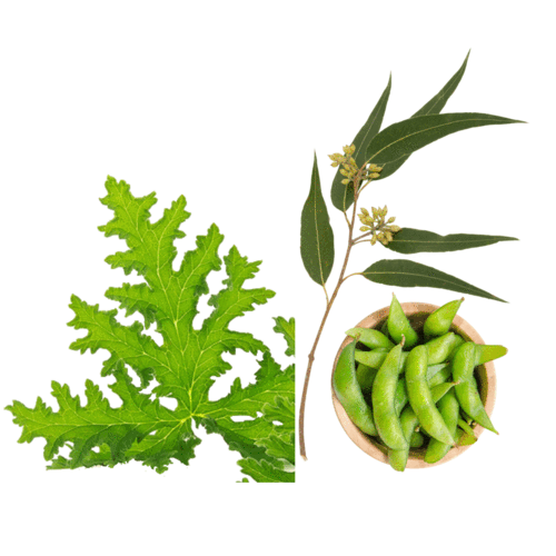 ingredients image