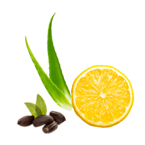 ingredients image